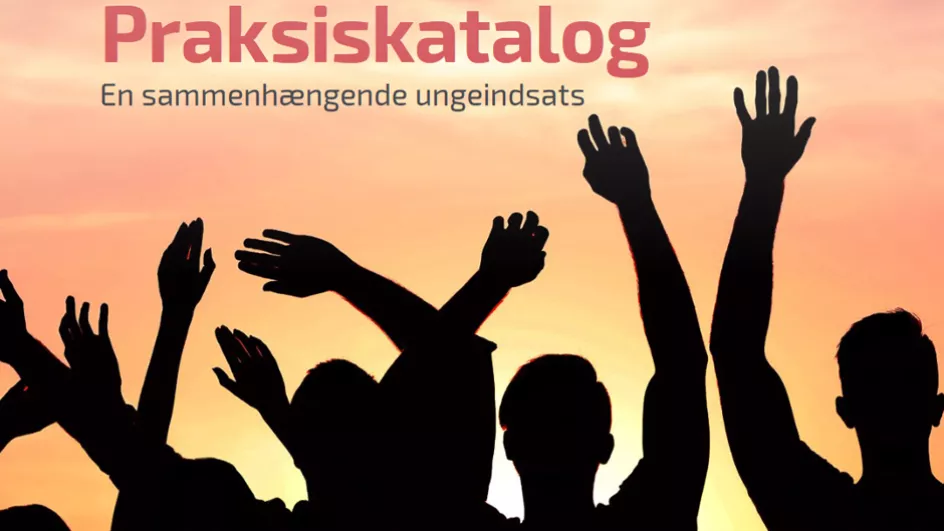 Praksis erfaringer med den kommunale ungeindsats